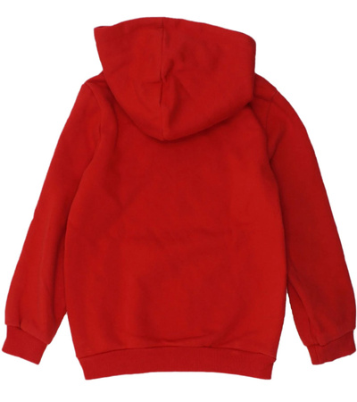 Bluza dziecięca z kapturem Puma DCT Hoodie [849258 11]
